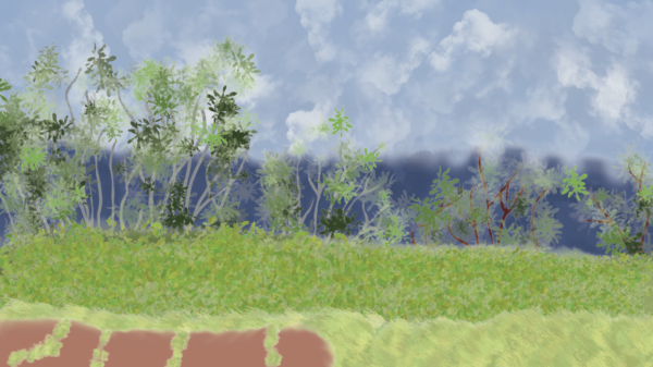 Illustration ofTono Hernández's coffee farm